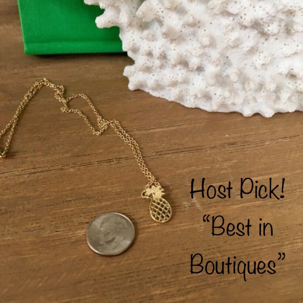 💎2 for $15💎 🎉HP 🎉🍍Mini Pineapple Necklace🍍